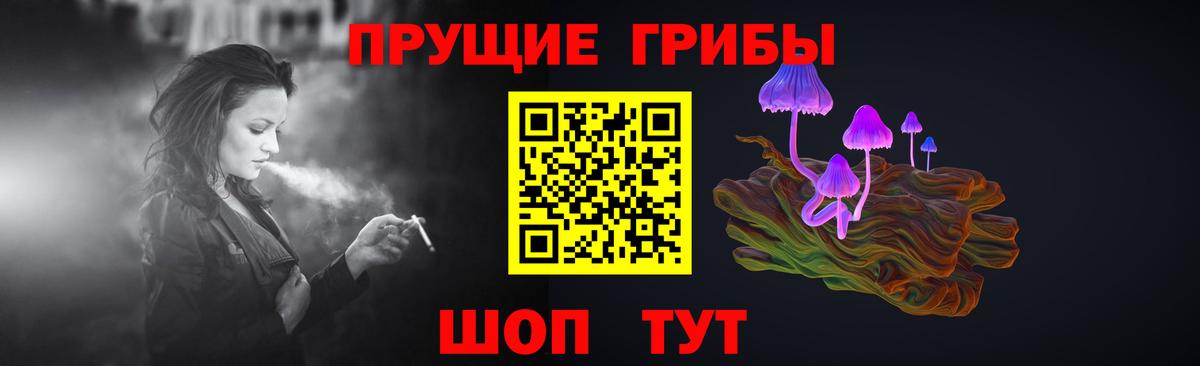 Щёлково  наркота  Вход с VPN  Галлюциногенные грибы Magic Shrooms 